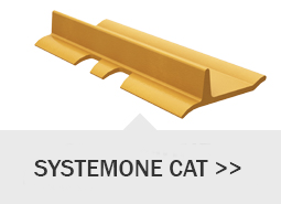 systemone cat